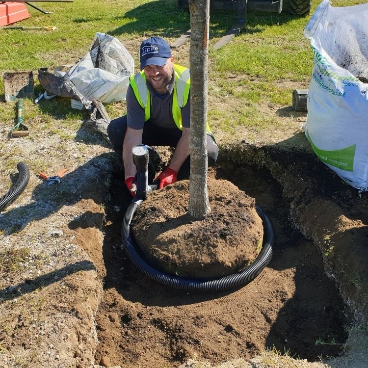 Image entitled Tree Planting Gallery