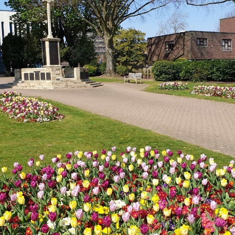 Image entitled Tulips Memorial Gardens Gallery (1)