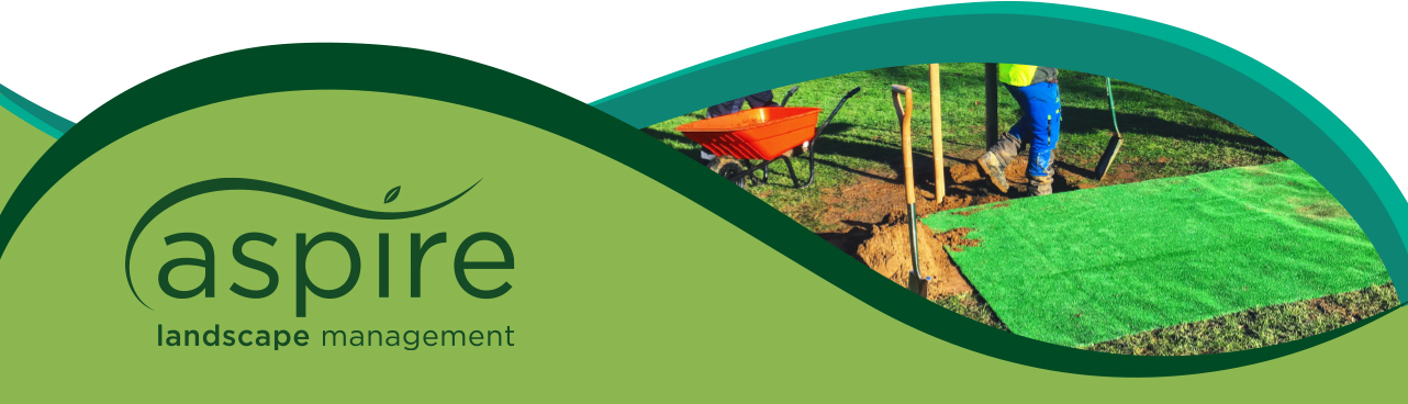 Header image for Supporting biodiversity and reducing the impact of climate change