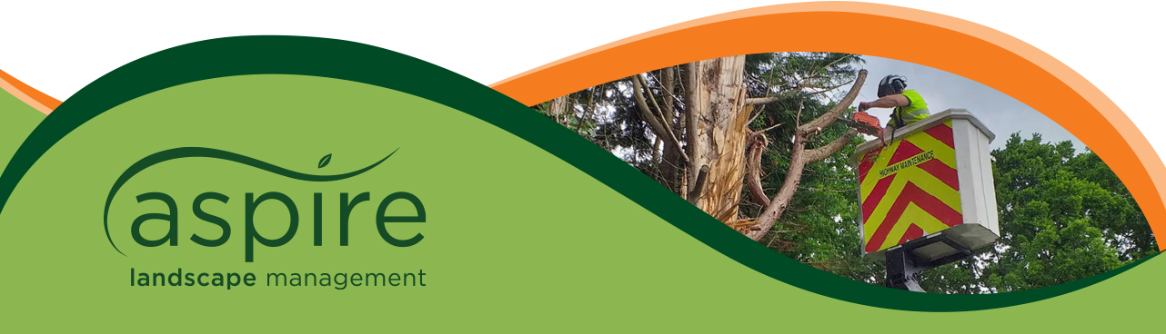 Header image for Arboriculture Services