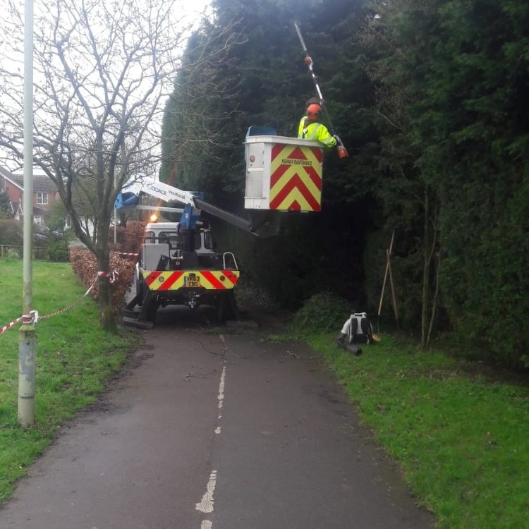 Image entitled Cherry Picker Pruning Gallery