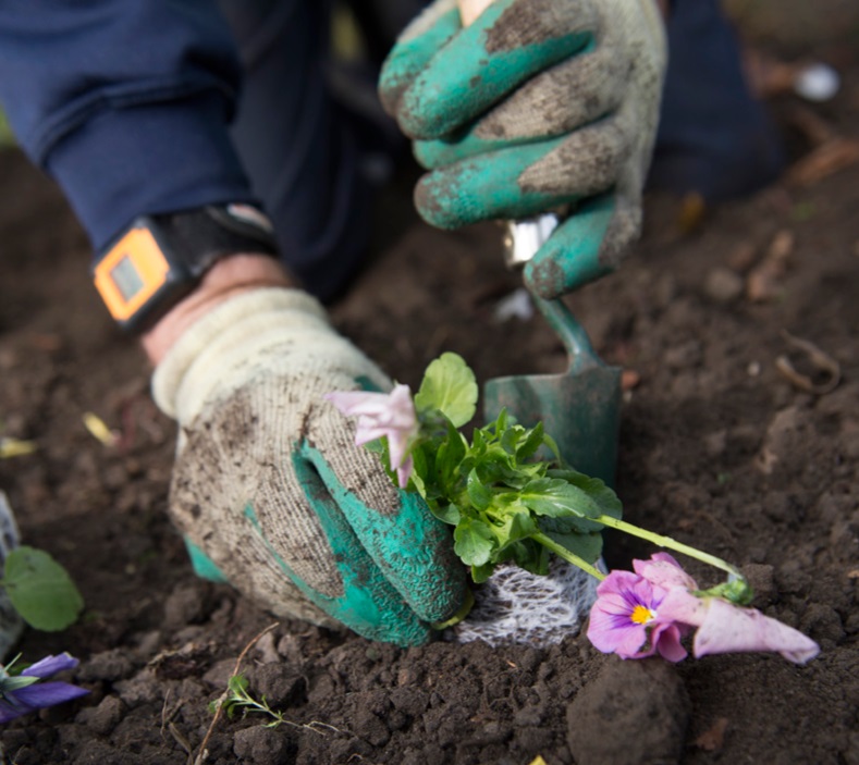 Image entitled Gloves Grounds Maint